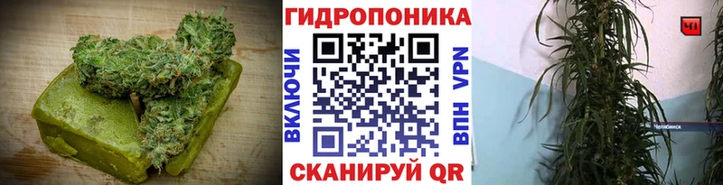 hydra ССЫЛКА  Новая Усмань  Canna-Cookies конопля 